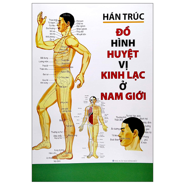 Đồ Hình Huyệt Vị Kinh Lạc Ở Nam Giới