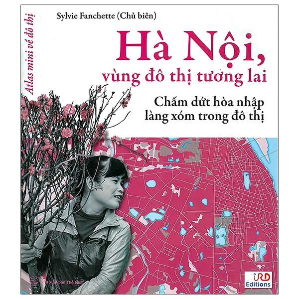 Hà Nội, Vùng Đô Thị Tương Lai - Chấm Dứt Hòa Nhập Làng Xóm Trong Đô Thị