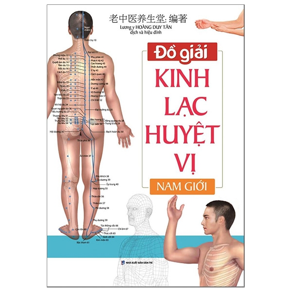 Đồ Giải Kinh Lạc Huyệt Vị Nam Giới